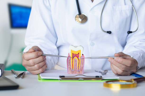Best Broken or Chipped Tooth Repair in Honey Grove, TX